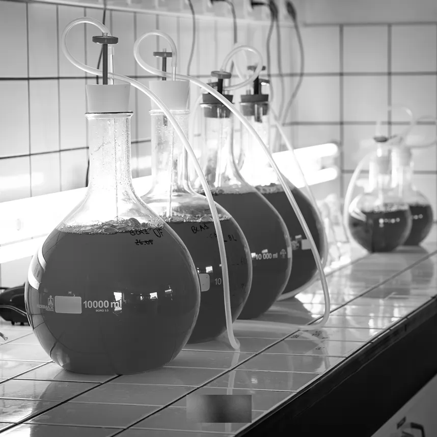 Innovalg Lab 2