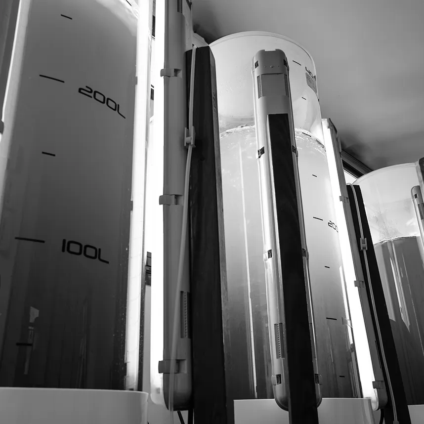 Innovalg Lab 2